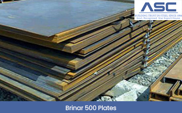   Brinar 500 Plates