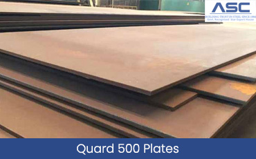Quard 500 Plates 