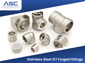 Stainless Steel 317 Forged Fittings