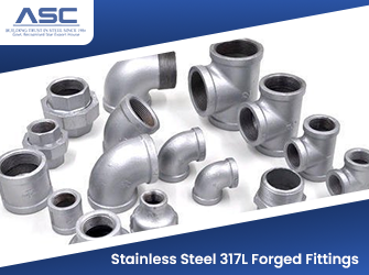Stainless Steel 317 Forged Fittings