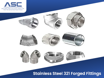 Stainless Steel 321 Forged Fittings