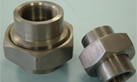 Titanium Forged Fittings